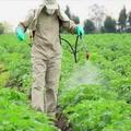 Применение пестицидов и агрохимикатов в условиях личных подсобных хозяйств