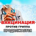  Ежегодная вакцинация гриппа 