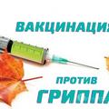 Вакцинопрофилактика гриппа, качество и безопасность применяемых противогриппозных вакцин