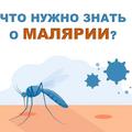 Что нужно знать о малярии?