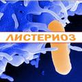 Профилактика листериоза