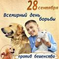 Всемирный день борьбы с бешенством