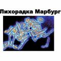 Что такое лихорадка Марбург и как она передается