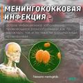 Менингококковая инфекция