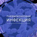 О пневмококковой инфекции и её профилактике