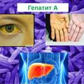 Профилактика вирусного гепатита А