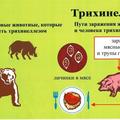 Трихинеллез