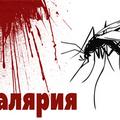 ПОМНИМ О МАЛЯРИИ