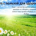 Областная акция «Лето – на здоровье»