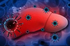 28 июля -  Всемирный день борьбы с гепатитом