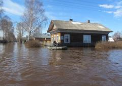 Профилактика инфекционных и паразитарных заболеваний в паводковый период 