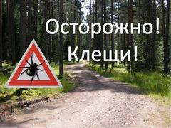 Осторожно клещи!