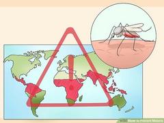 Малярия и ее профилактика