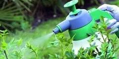 Безопасное применение пестицидов в условиях ведения личных подсобных хозяйств