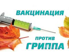 Вакцинопрофилактика гриппа, качество и безопасность применяемых противогриппозных вакцин
