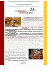 листовка «Сальмонеллез»