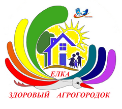 Проект "Елка - здоровый агрогородок"