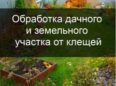 Обработка приусадебных участков от клещей