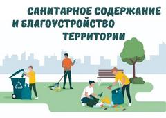 Санитарное состояние территорий г.п.Зельва и района