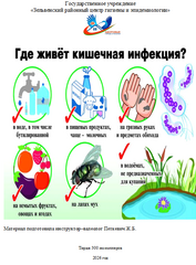 листовка «Где живет кишечная инфекция» 2026