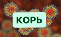 КОРЬ!