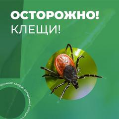 ОСТОРОЖНО, КЛЕЩИ!