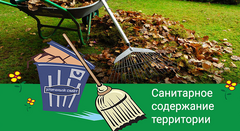 О результатах надзорных мероприятий за санитарным состоянием территорий населенных пунктов