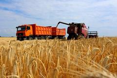 ПРЕСС-РЕЛИЗ «О проведении в июле-августе месячника безопасности труда»