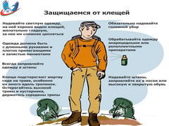 Профилактика клещевых инфекций Профилактика клещевых инфекций